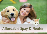 Affordable Spay & Neuter
