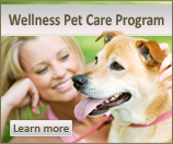 Wellness Pet Care Program